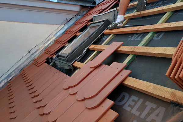 Lorem ipsum dolor sit amet, consectetur adipiscing elit. In et interdum nulla, non interdum arcu. Aliquam erat volutpat.